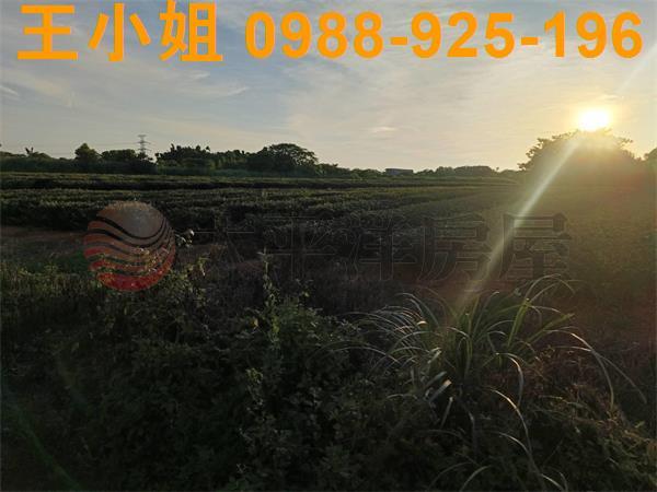 龍潭農地-3