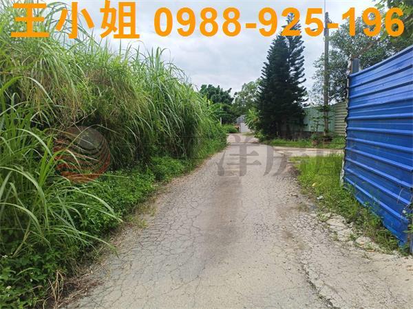 龍潭農地-4