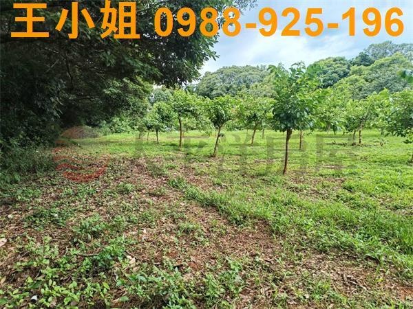 龍潭農地-3
