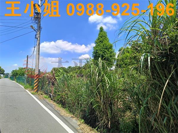 大溪農地-9
