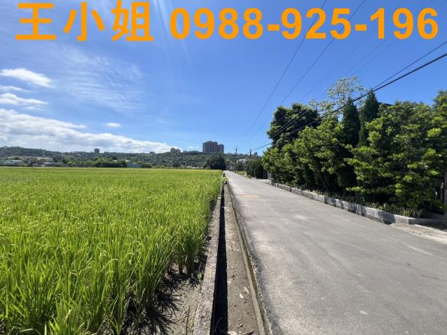 大溪農地-3