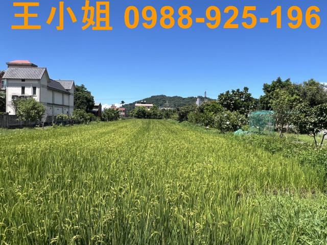 大溪農地-5