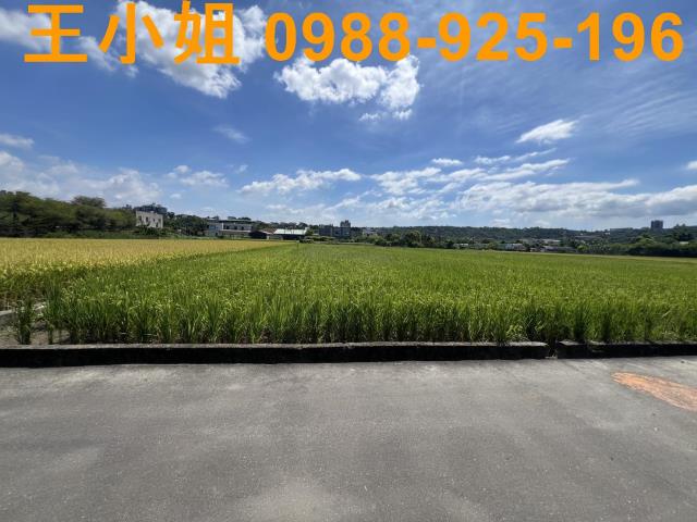 大溪農地-6