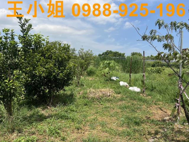 蘆竹農地-0