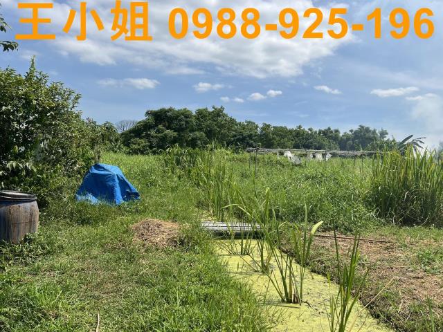 蘆竹農地-1