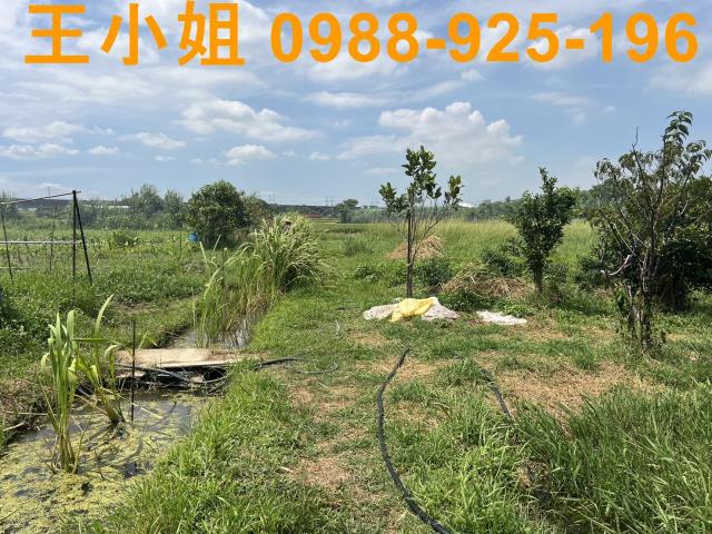 蘆竹農地-3