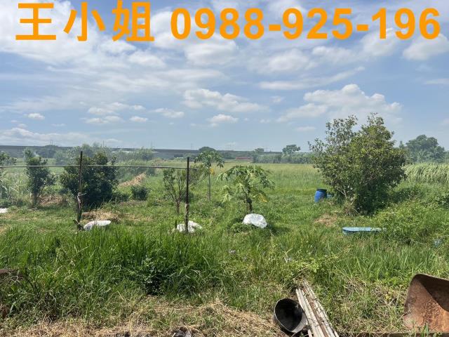 蘆竹農地-5