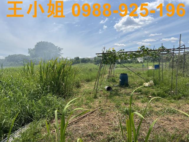 蘆竹農地-6