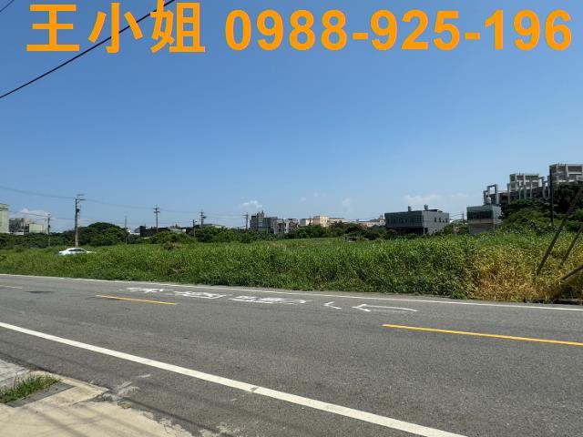 大園農地-1