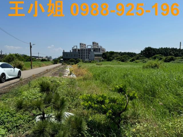 大園農地-3