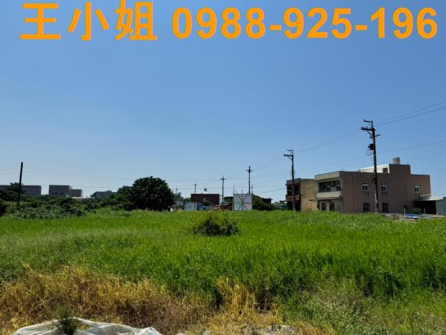 大園農地-4