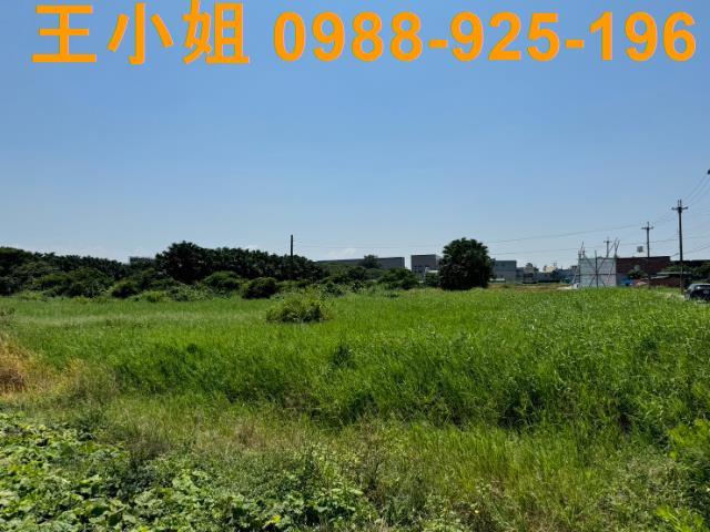 大園農地-5