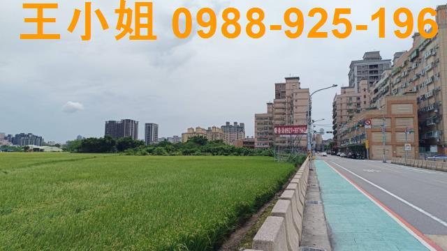 桃園農地-2