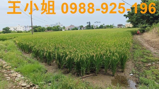 桃園農地-4