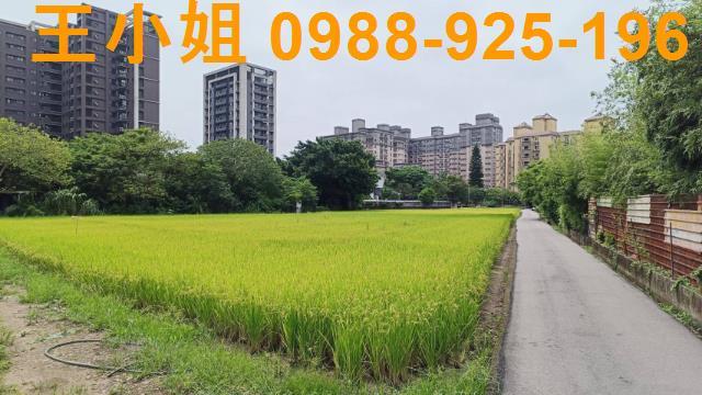 桃園農地-9
