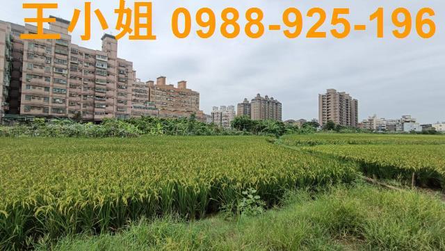 桃園農地-1