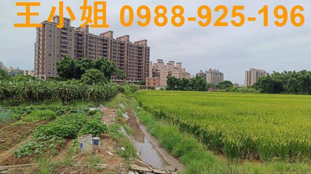 桃園農地-2