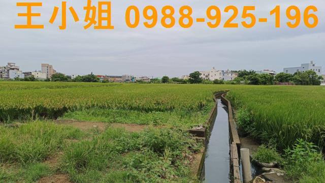 桃園農地-3