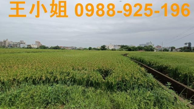 桃園農地-4
