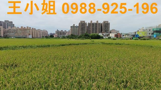 桃園農地-5