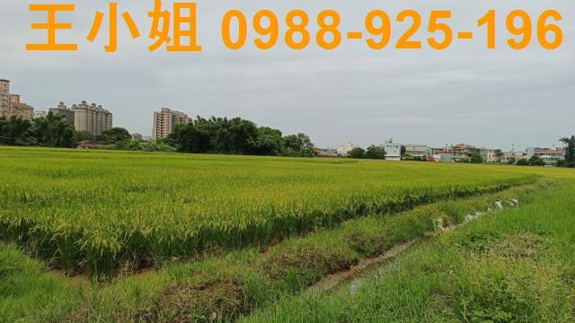 桃園農地-6