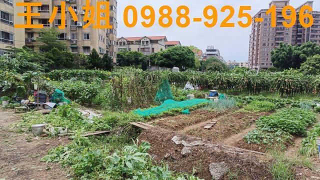 桃園農地-8