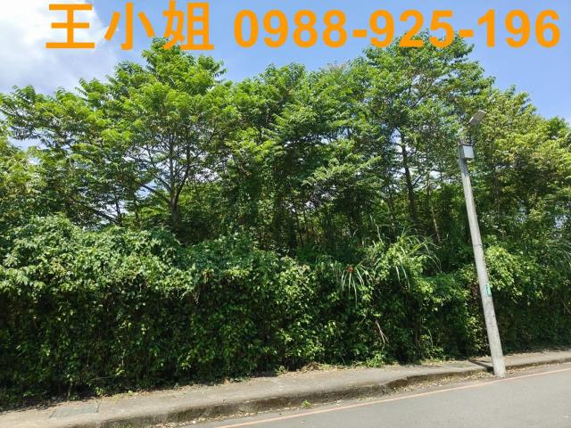 桃園龍潭農地-12