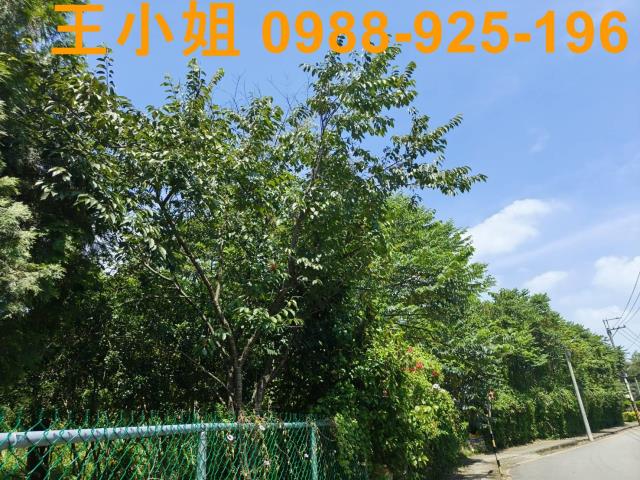 桃園龍潭農地-13