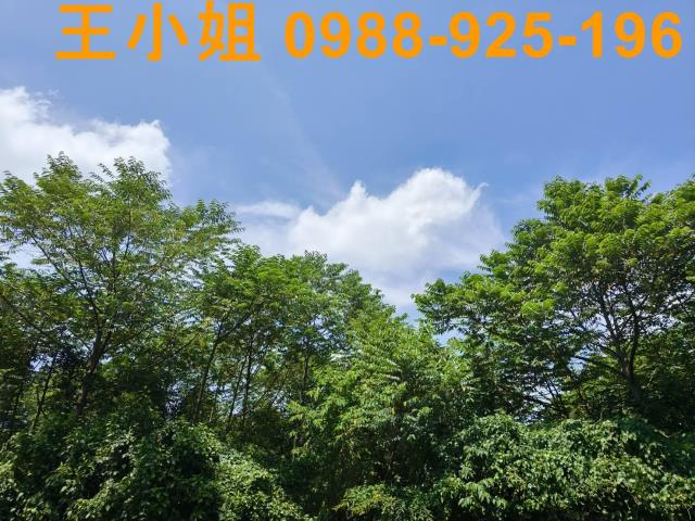 桃園龍潭農地-14