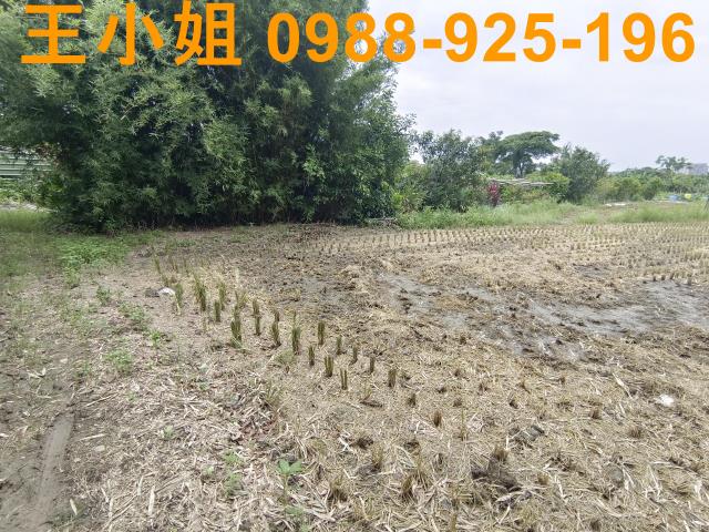 桃園農地-1