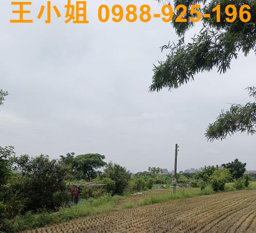 桃園農地-3