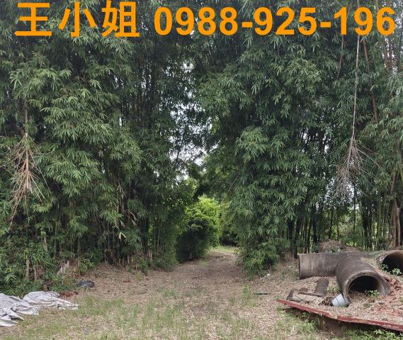 桃園農地-5