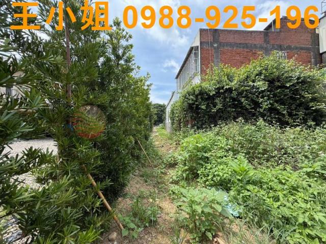 桃園八德建地-5