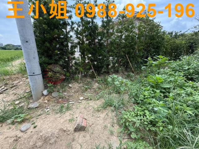 桃園八德建地-8