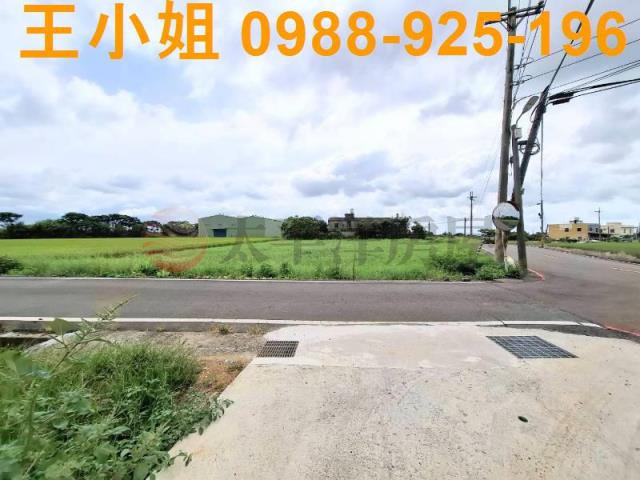 桃園觀音農地-6