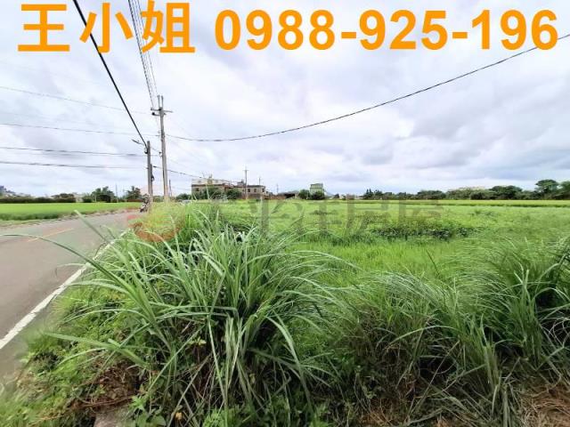 桃園觀音農地-8