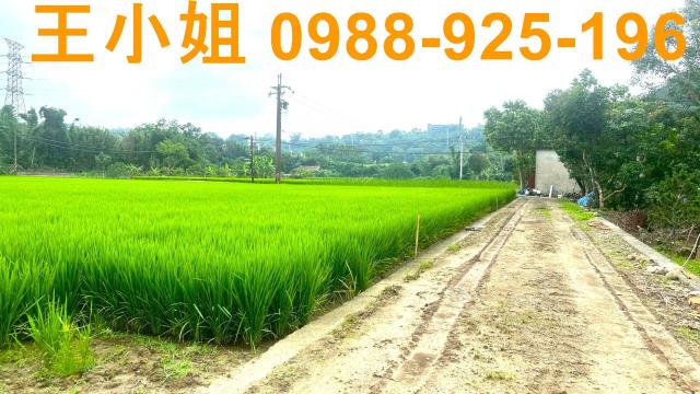桃園龍潭農地-4