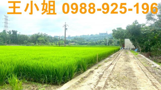 桃園龍潭農地-6