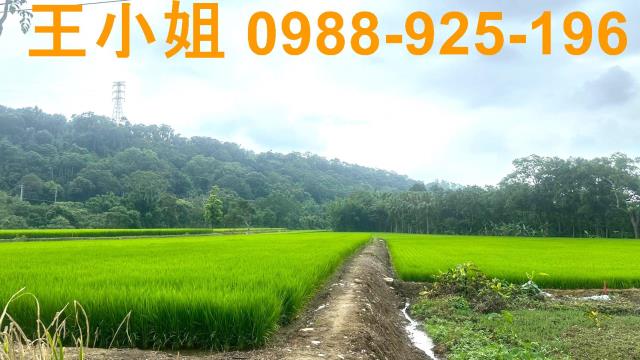 桃園龍潭農地-7