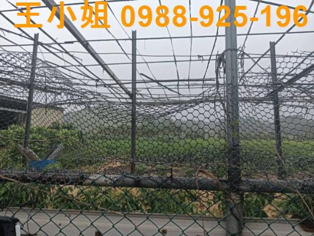 桃園龍潭農地-1