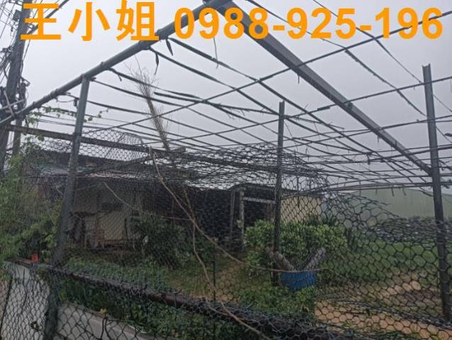 桃園龍潭農地-2