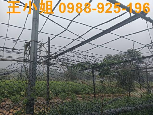 桃園龍潭農地-3