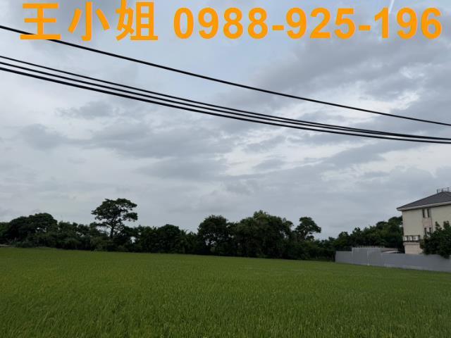 中壢農地-0