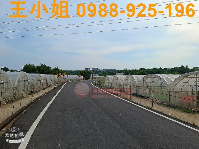 八德農地-6
