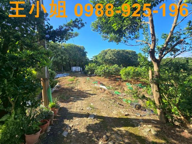 八德農地-1