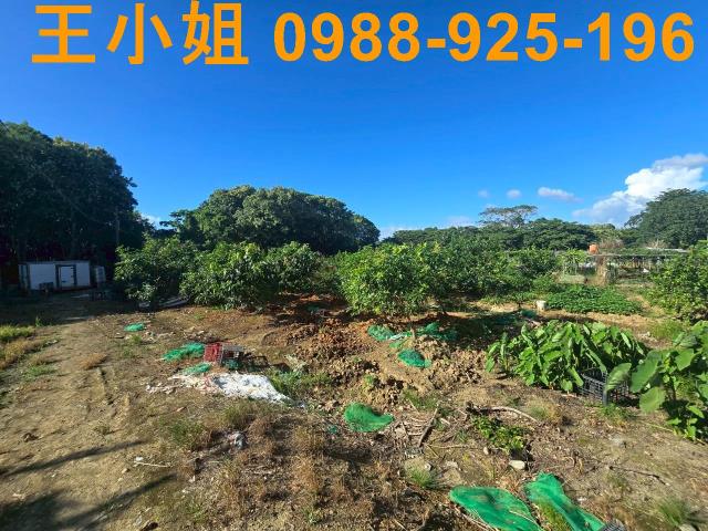 八德農地-3