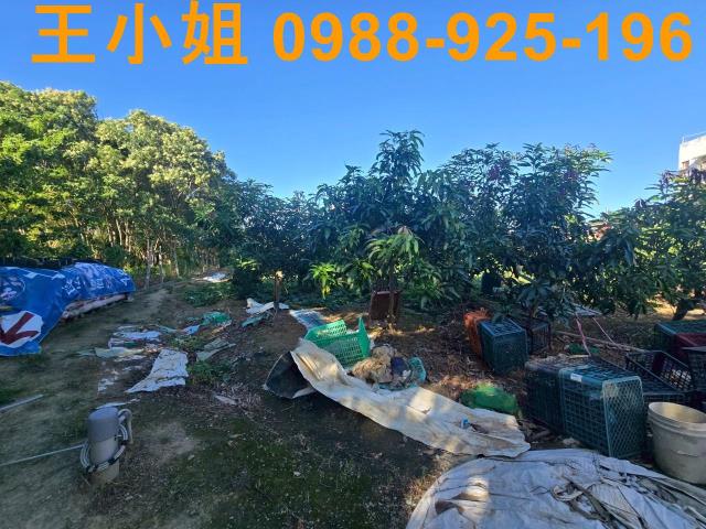 八德農地-6