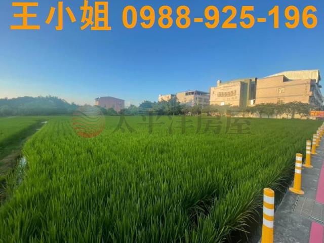 桃園中壢農地-9