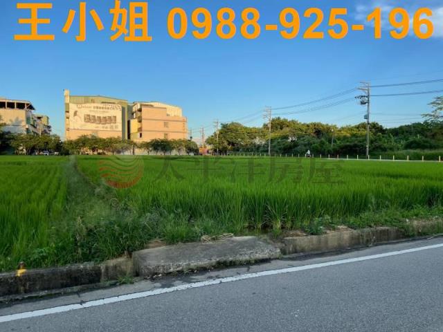 桃園中壢農地-6