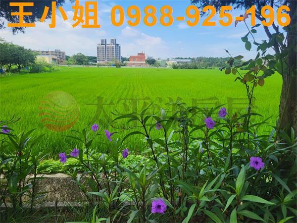 桃園中壢農地-0